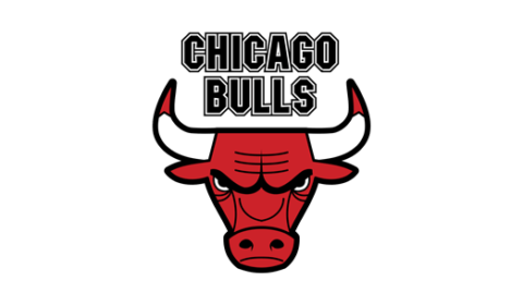 Chicago Bulls Case Study - Coachmeplus