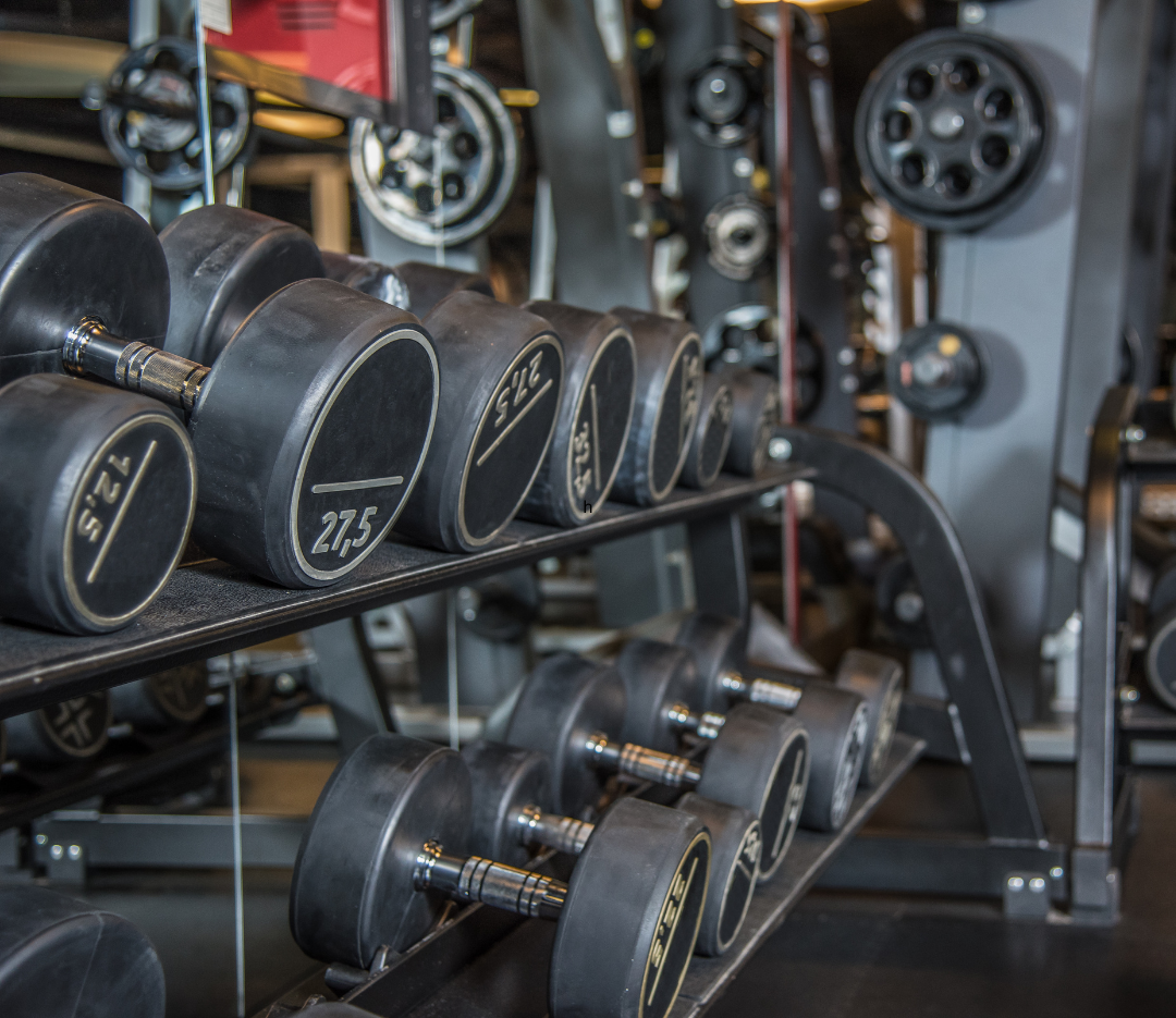Young fitness instructor reading a training plan in a gym.