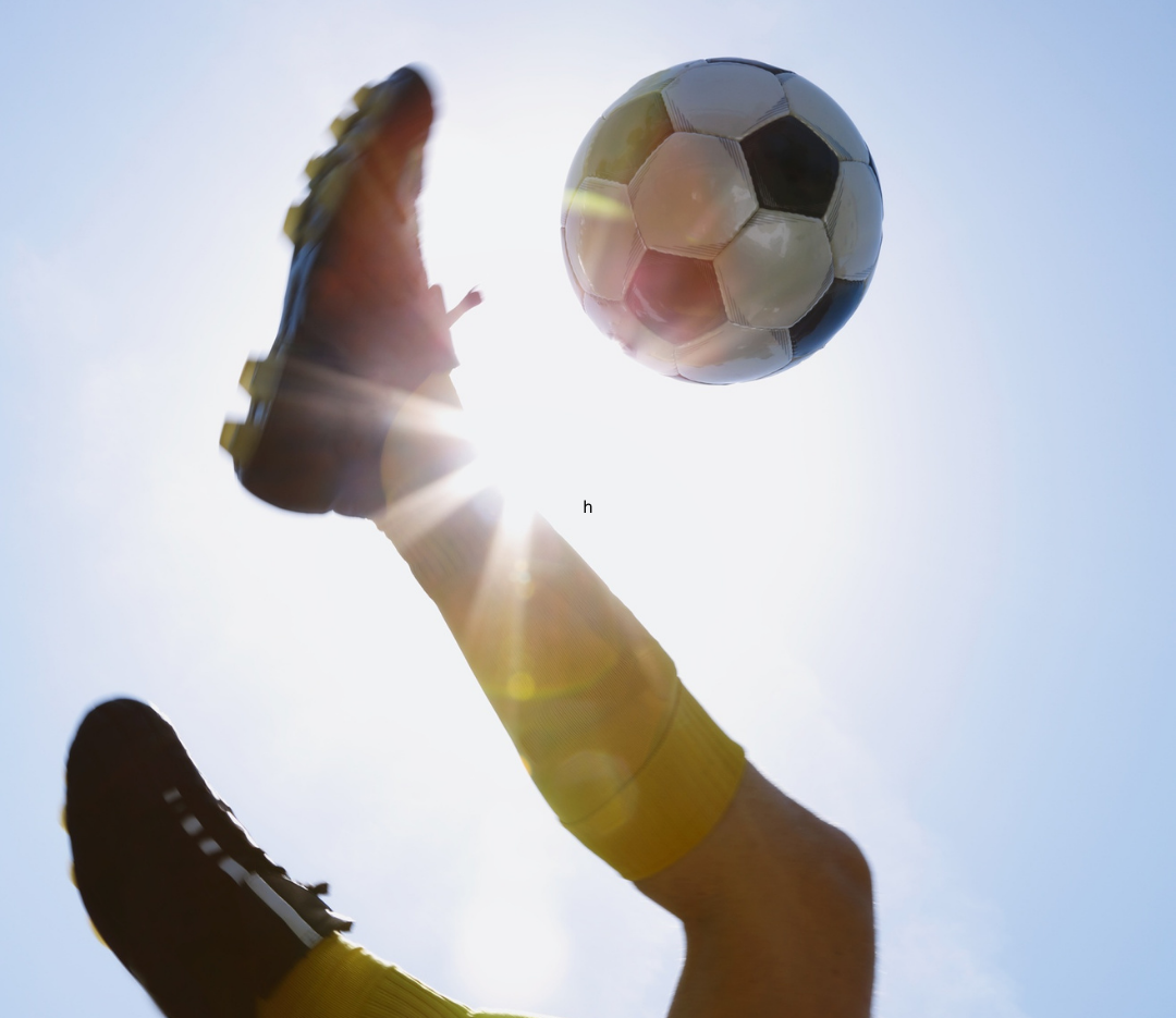 Athlete Survey in CoachMePlus