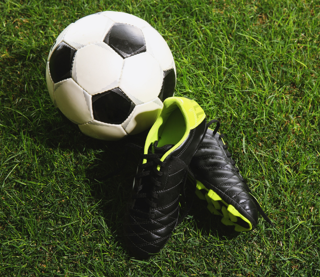 Athlete Survey in CoachMePlus