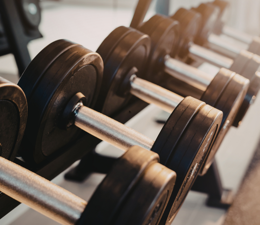 Young fitness instructor reading a training plan in a gym.